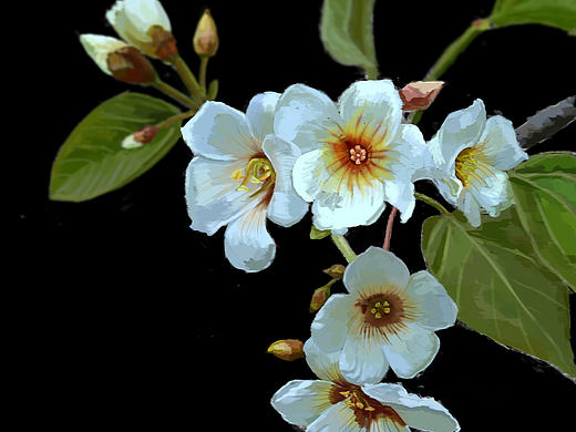 小花