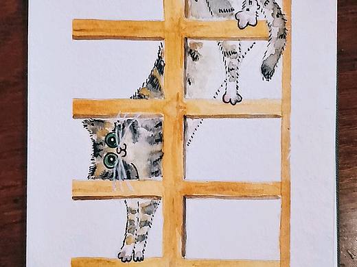猫咪日常画像
