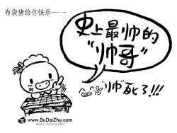 布袋猪—史上最帅的帅哥