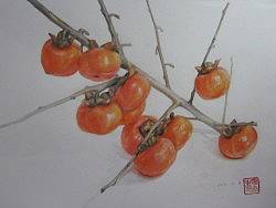 彩鉛————柿子（個(gè)人主頁-ZMjE1NjgwOA==） - 繪畫 - 站酷設(shè)計(jì)師魚兒乖原創(chuàng)素材 - 站酷ZCOOL