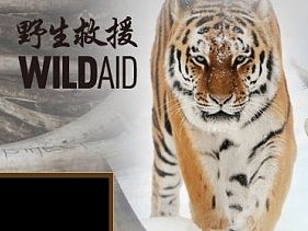 野生救援-专题页面