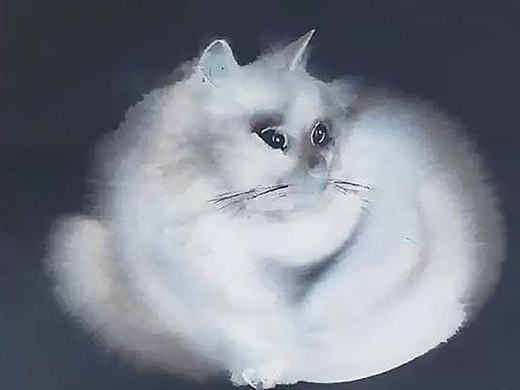 【猫咪物语】软件手绘（个人主页-ZMTg3MTQxMTI=） - 商业插画 - 站酷设计师Audrey文原创素材 - 站酷ZCOOL