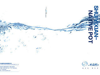 原创作品：企业画册/画册排版/平面设计/版式设计/封面封底