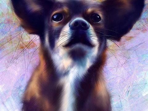 打工狗（个人主页-ZNTU2Nzc0NDA=） - 绘画 - 站酷设计师尋晷原创素材 - 站酷ZCOOL