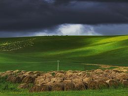 呼倫貝爾大草原