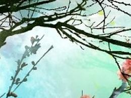 节目背景