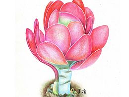 彩铅