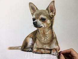 colored pencil
