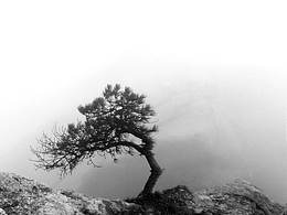 游行黃山