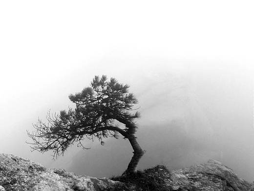 游行黄山（个人主页-ZMjA4MTU0NTY=） - 风光摄影 - 站酷设计师mayidefei原创素材 - 站酷ZCOOL