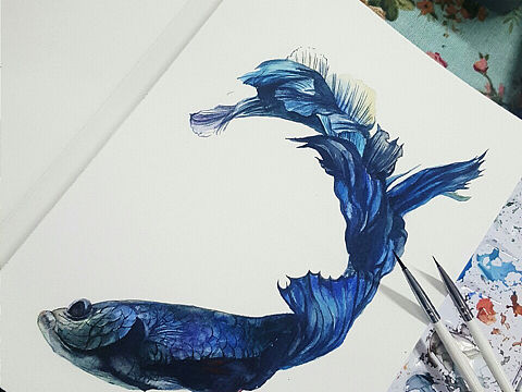 水彩手绘鱼
