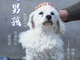奇迹男孩