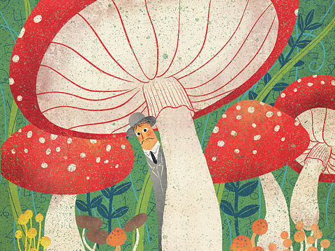 关于数字的故事（个人主页-ZNDQyMDA5ODQ=） - 儿童插画 - 站酷设计师南瓜小蒂原创素材 - 站酷ZCOOL