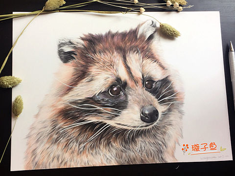 干脆面