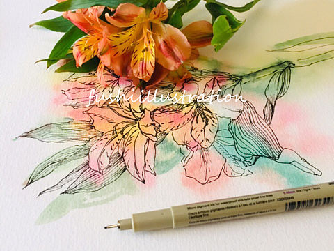 水彩系列——水彩花卉插画