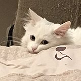 Znothing的头像