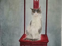 猫猫
