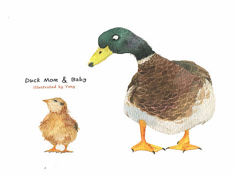 动物妈妈和宝宝