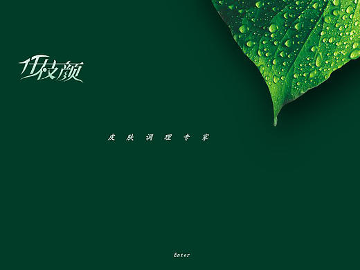 开场动画