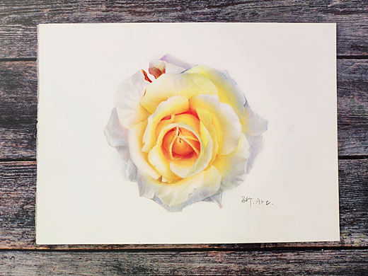 [玫瑰][玫瑰]红辉一小时