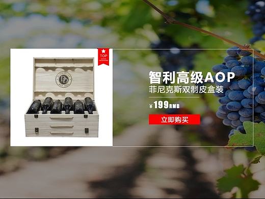 葡萄酒 淘宝电商 店铺装修（个人主页-ZMTg2Njk2ODg=） - 电商 - 站酷设计师so男原创素材 - 站酷ZCOOL