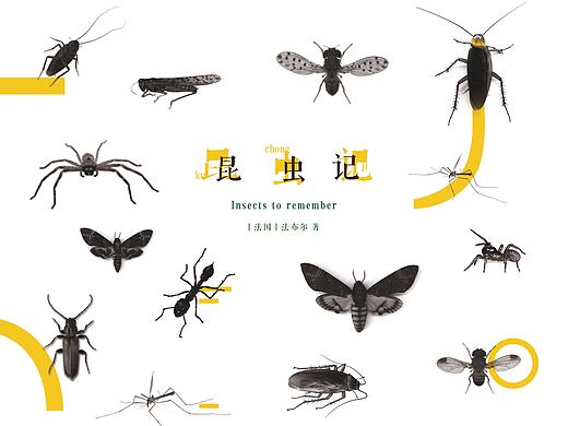 《昆虫记》——书籍装帧再设计