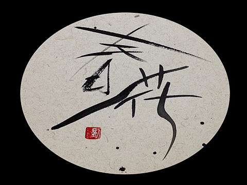 刘冬遥字画一体新艺术