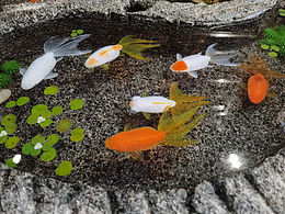 樹脂畫