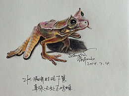 我也来晒手绘本子啦~~