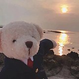 Neko丶E的头像