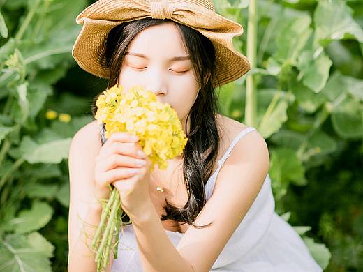 油菜花