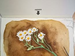 小雏菊