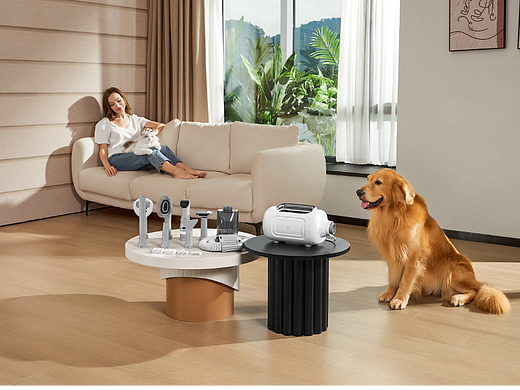 宠物用品视频之亚马逊吹水理毛机宣传视频TVC