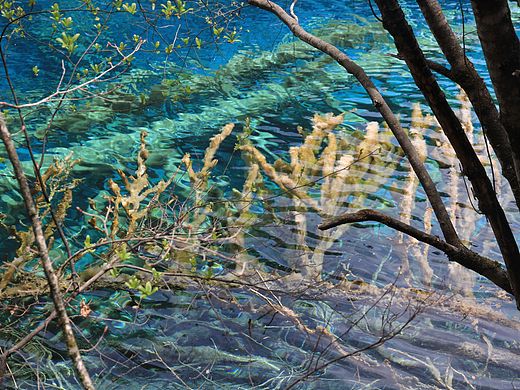 九寨之旅（二）（個人主頁-ZMTU2MzcyNTY=） - 風(fēng)光攝影 - 站酷設(shè)計師Yinlizk原創(chuàng)素材 - 站酷ZCOOL