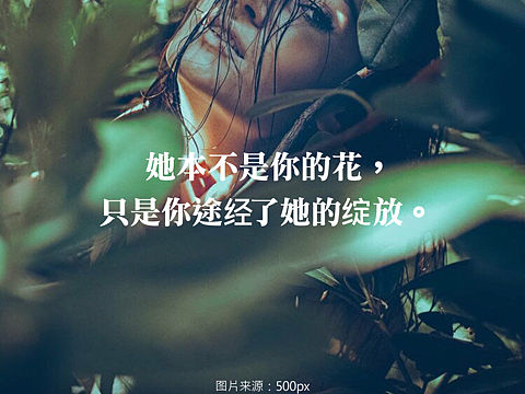 网页设计