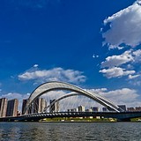 Z50374572的头像