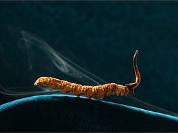 德仁堂产品摄影