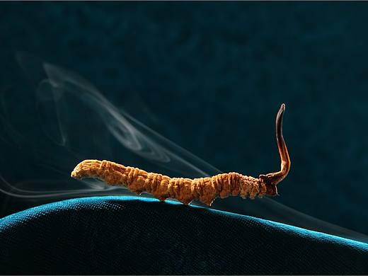 德仁堂產(chǎn)品攝影（個(gè)人主頁(yè)-ZMjc3OTcwNjQ=） - 產(chǎn)品攝影 - 站酷設(shè)計(jì)師腳板丫原創(chuàng)素材 - 站酷ZCOOL