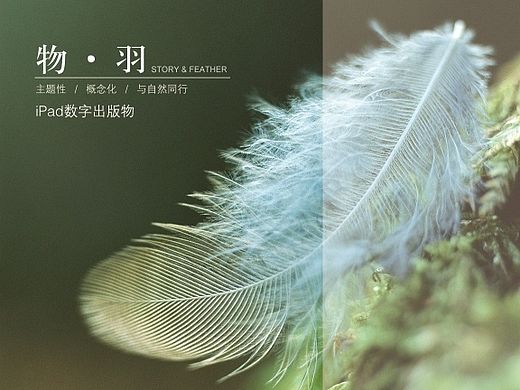 毕业设计-羽毛主题iPad电子出版物界面及内容