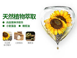 寵物用品