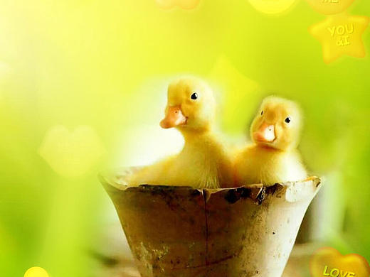 字体临摹（个人主页-ZMTg2NDk0MjQ=） - 字体/字形 - 站酷设计师yshx920原创素材 - 站酷ZCOOL