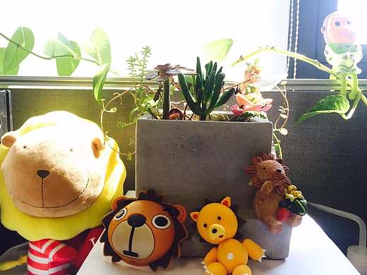 第一次软陶系列,小王子,辛普森一家-bart,死神-魂贱萌小狮子