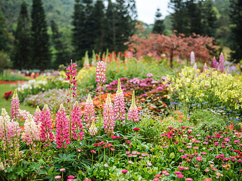 春天的色彩（个人主页-ZMzQ2Nzg0ODg=） - 风光摄影 - 站酷设计师xiaohui日记原创素材 - 站酷ZCOOL