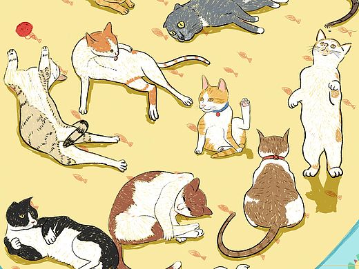 猫的集合