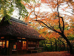 旅游签证网站_电子商城_PC端