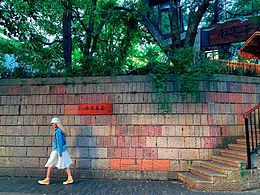 沉溺于自己的熱愛