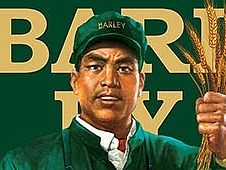 七索地产篇 大麦公寓