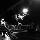 猪无能的头像