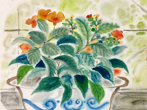 窗台上的春色
