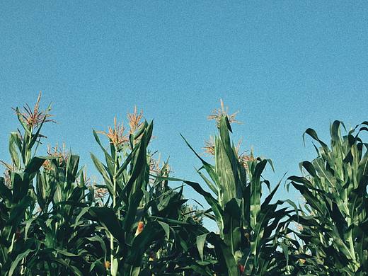 油坊沟支线01＃（个人主页-ZMzY4MjEyODA=） - 风光摄影 - 站酷设计师Jinliangyu原创素材 - 站酷ZCOOL